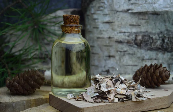 Brich bark betulin özütü bio organik