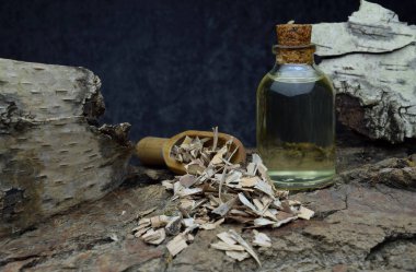 Birch doğal yağ biyografisi