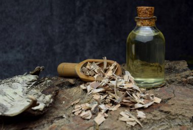 Birch doğal yağ biyografisi