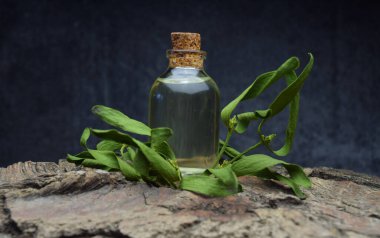 Ökseotu doğal biyo-yağ ilaçları.