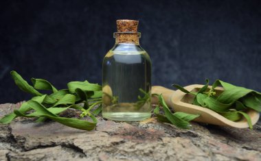 Ökseotu doğal biyo-yağ ilaçları.