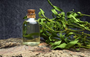 Ökseotu doğal biyo-yağ ilaçları.