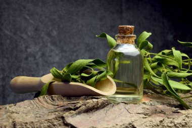 Ökseotu doğal biyo-yağ ilaçları.