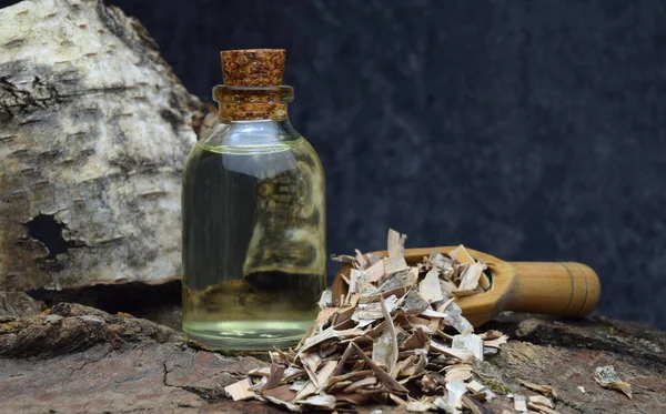 Biologische Berkenolie — Stockfoto