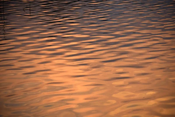 Luz Del Atardecer Agua Del Lago — Foto de Stock