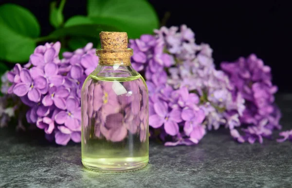 Aceite Aroma Lila Bio Orgánica — Foto de Stock