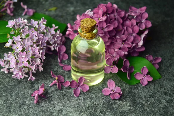 Aceite Aroma Lila Bio Orgánica — Foto de Stock