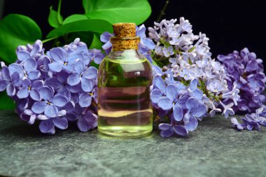 lilac aroma oil bio organic