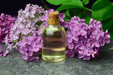 lilac aroma oil bio organic