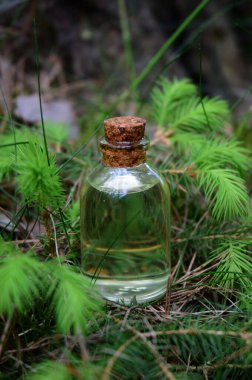 Taze taze ladin filizlerinin simgesi.