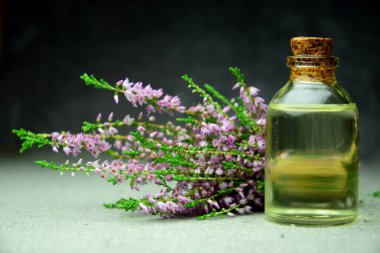 Heather yağı aroması organik