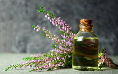 Heather yağı aroması organik