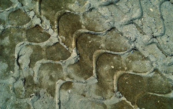 Spuren im Sand — Stockfoto