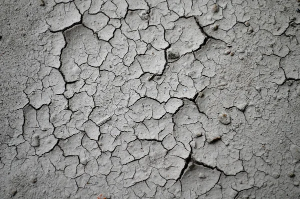 Kırık ve kurutulmuş çamur doku — Stok fotoğraf