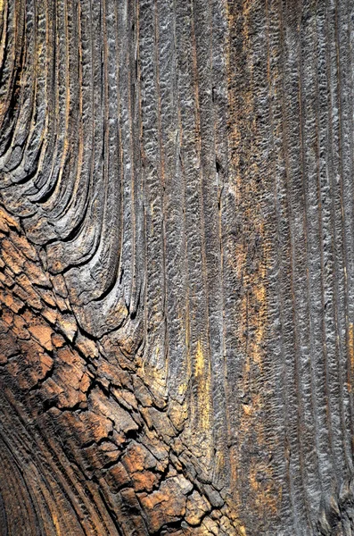 Textura de mesa de madeira velha — Fotografia de Stock