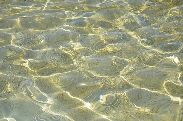 물 풀 태양 — 스톡 사진