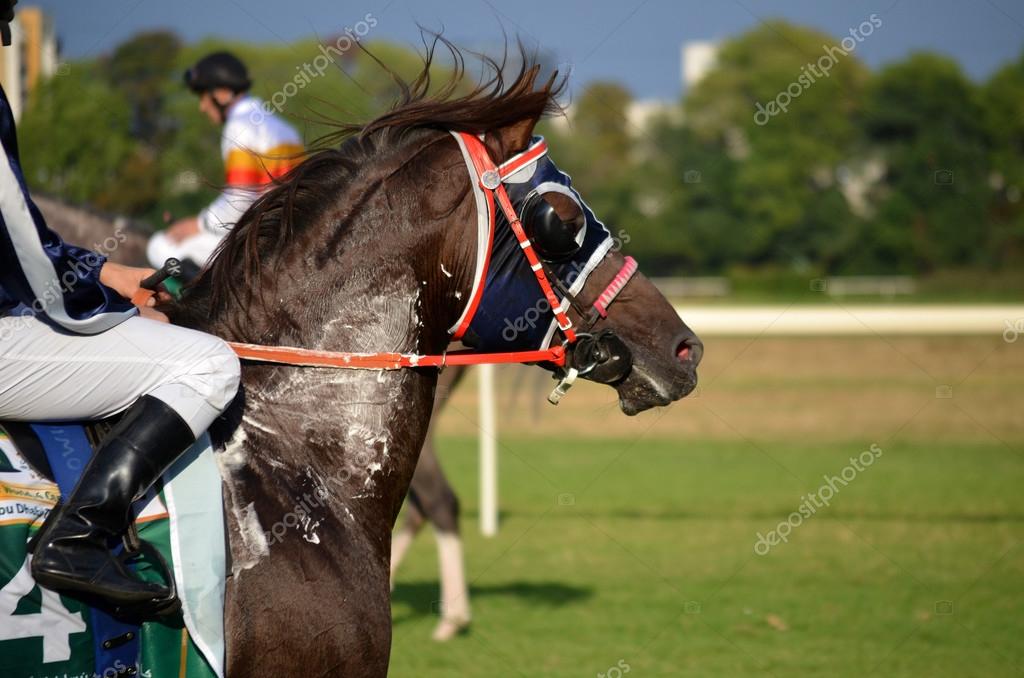 Arabian horse racing Stock Photo by ©zetat 81761976