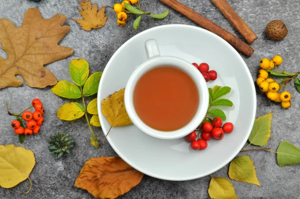 Трав'яний чай з осінніми прикрасами — стокове фото