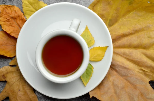 Kräutertee mit Herbstdekoration — Stockfoto