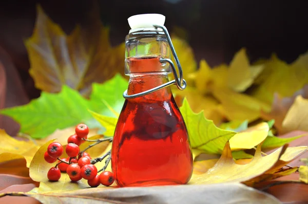 Suco caseiro — Fotografia de Stock