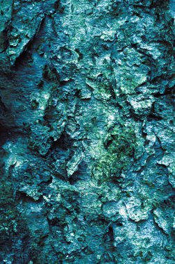 Ağaç kabuğu dokusu