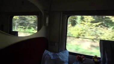 Bir tren kompartımanından doğaya bir manzara. Rahat bir kompartımandan bir tren penceresi.