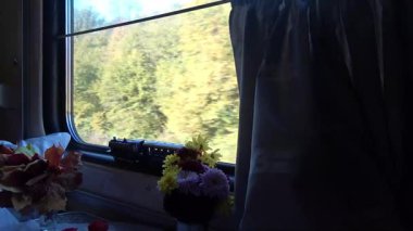 Trenin camından geçen yeşil ağaçlar, sokaktaki trafik gibi. Demiryolu boyunca ilerleyen modern ve rahat bir aracın görüntüsü..