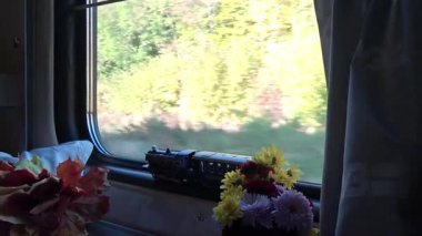Bir tren kompartımanından doğaya bir manzara. Rahat bir kompartımandan bir tren penceresi.