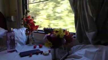 Trenin camından geçen yeşil ağaçlar, sokaktaki trafik gibi. Demiryolu boyunca ilerleyen modern ve rahat bir aracın görüntüsü..