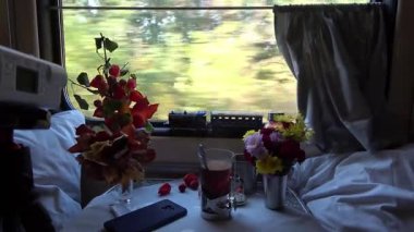 Trenin camından geçen yeşil ağaçlar, sokaktaki trafik gibi. Demiryolu boyunca ilerleyen modern ve rahat bir aracın görüntüsü..