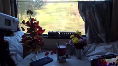 Trenin camından geçen yeşil ağaçlar, sokaktaki trafik gibi. Demiryolu boyunca ilerleyen modern ve rahat bir aracın görüntüsü..