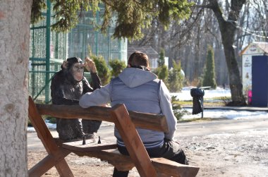 adam bir maymun ile satranç oynuyor