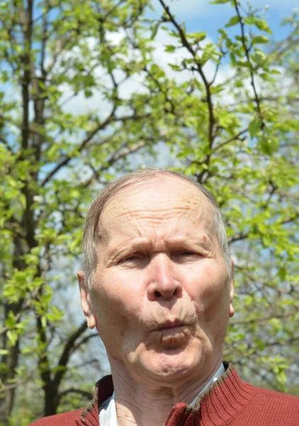 Gelukkig man close-up portret over bomen achtergrond — Stockfoto