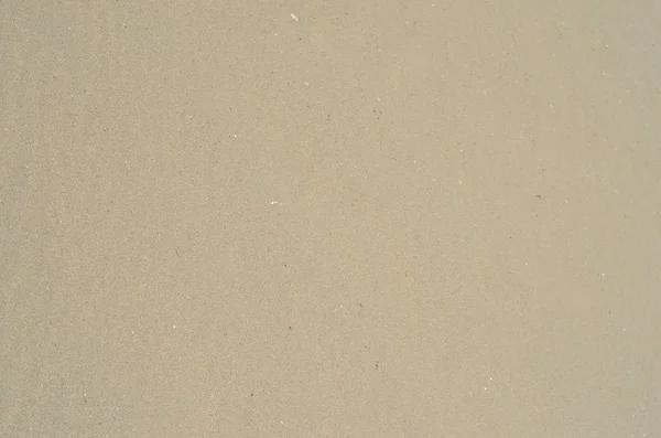 Sand Texture. Sand background