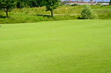 Yeşil Golf sahasında golf oynayan adam