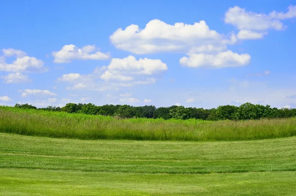 Campo verde e céu azul — Fotografia de Stock