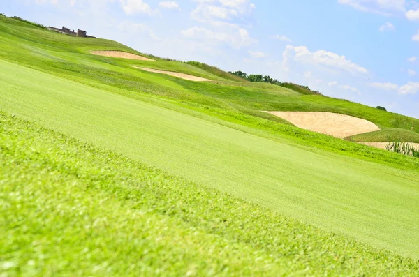 Groen veld en blauwe lucht — Stockfoto