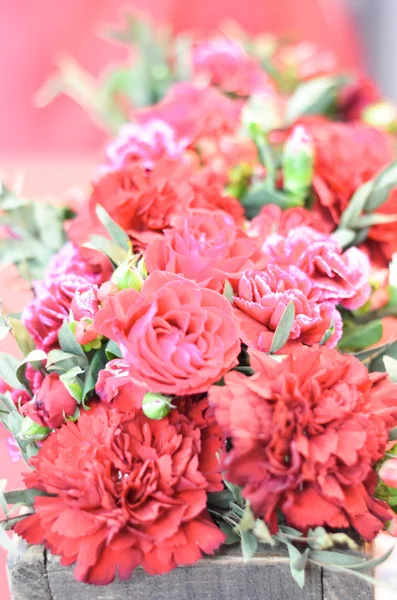 Arka plan kırmızı çiçekler — Stok fotoğraf