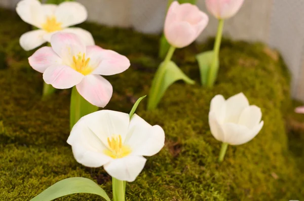 Sfondo astratto di fiori. Da vicino.Un mazzo di fiori — Foto Stock