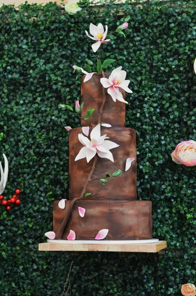 Chocolade bruidstaart, versierd met bloemen — Stockfoto