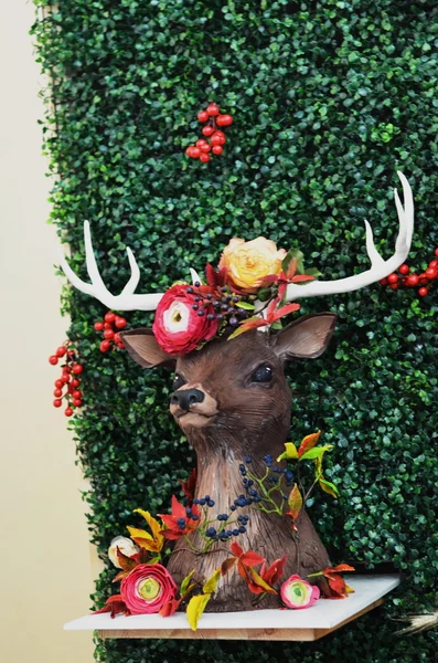 Cake moose head — Stock Photo, Image