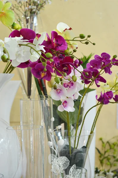 Bir vazo içinde orkide. Çiçekler bir demet — Stok fotoğraf