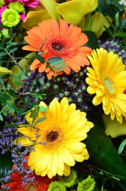 Çiçek arka plan ile renkli yaz çiçek