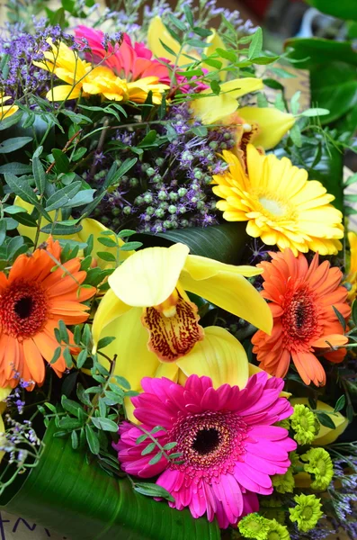 Fundo da flor com flores coloridas de verão — Fotografia de Stock