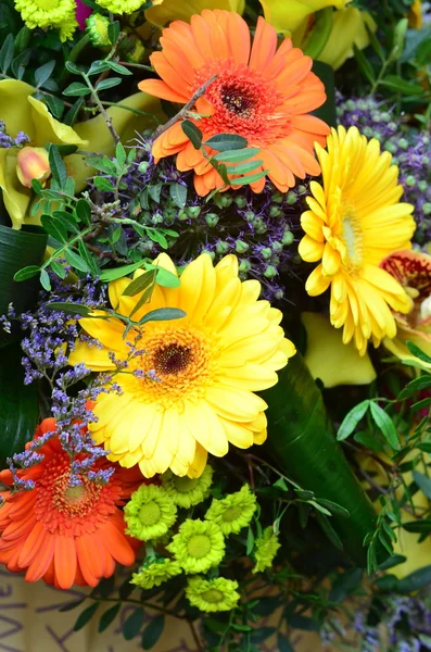 Fundo da flor com flores coloridas de verão — Fotografia de Stock