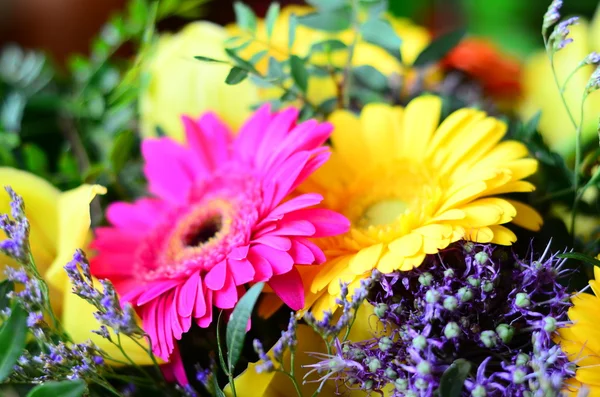 Fond de fleur avec des fleurs d'été colorées — Photo
