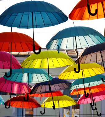 Parlak renkli şemsiyeler 