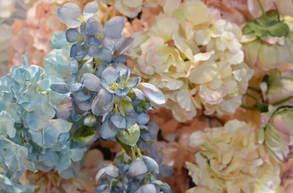 Fiore Colorato Motivo Floreale Sfondo Floreale Bouquet Fiori — Foto Stock