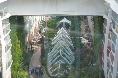 Cruise liner Royal Caribbean, Seas Oasis tarafından