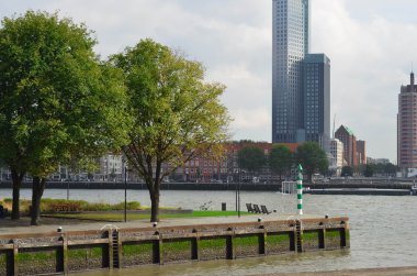 Şehir Parkı Rotterdam, Hollanda